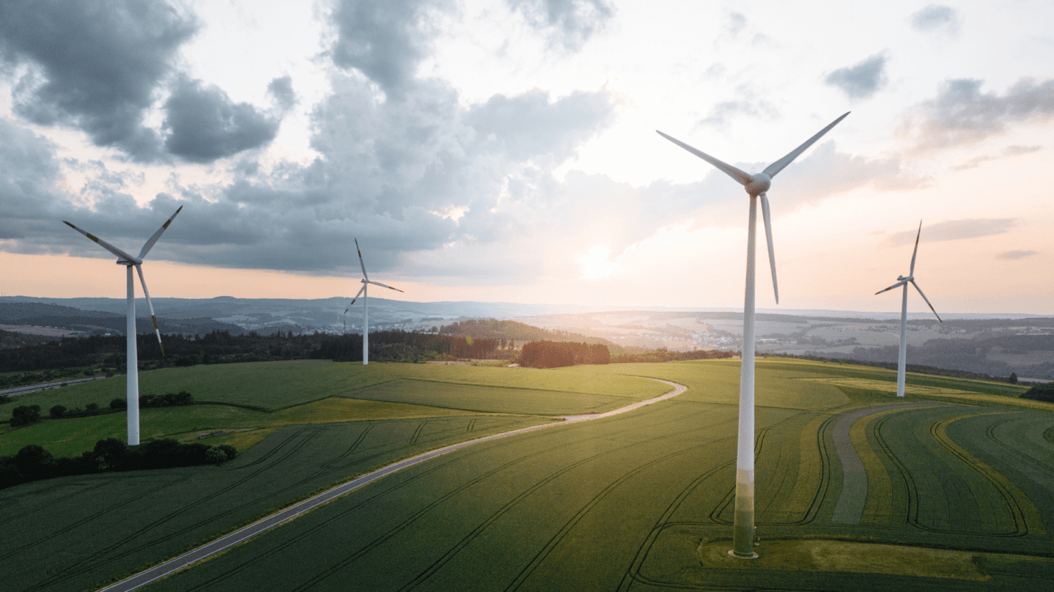 WIndräder aus Holz