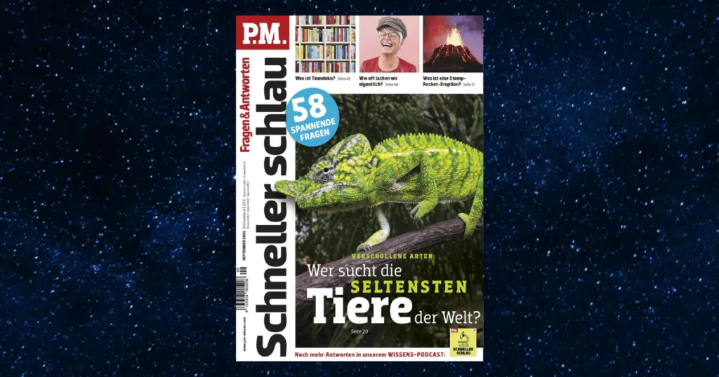 pm-schneller-schlau-ausgabe-9-2024