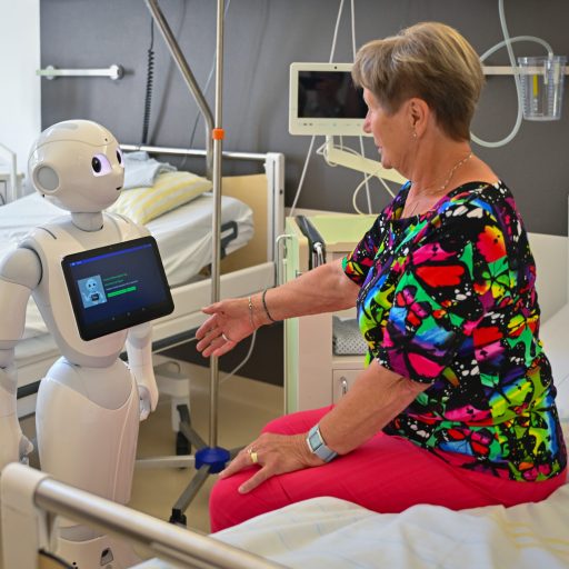 Pilotstudie zur Interaktion zwischen Mensch und Roboter