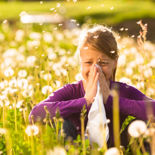 Allergie auf Gräser