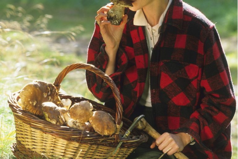 Person, Human, Basket